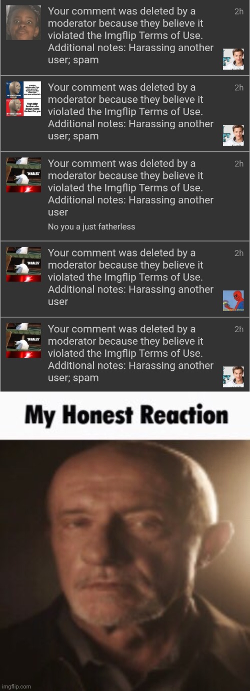 6 hours ban | image tagged in my honest reaction | made w/ Imgflip meme maker