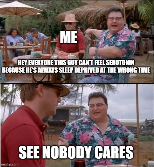 tired on 'fun' days, rested on boring days | ME; HEY EVERYONE THIS GUY CAN'T FEEL SEROTONIN BECAUSE HE'S ALWAYS SLEEP DEPRIVED AT THE WRONG TIME; SEE NOBODY CARES | image tagged in memes,see nobody cares,sleep | made w/ Imgflip meme maker