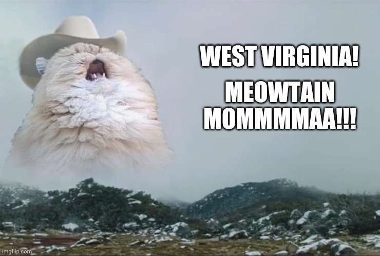 CAT | WEST VIRGINIA! MEOWTAIN MOMMMMAA!!! | image tagged in screaming cowboy cat | made w/ Imgflip meme maker