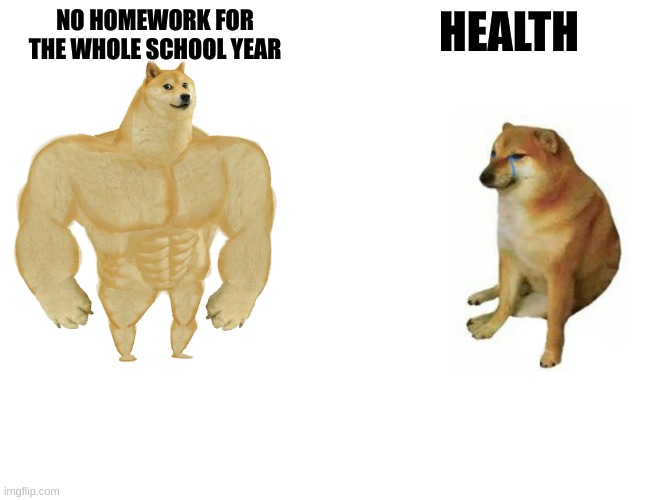 Buff Doge vs. Cheems | NO HOMEWORK FOR THE WHOLE SCHOOL YEAR; HEALTH | image tagged in memes,buff doge vs cheems | made w/ Imgflip meme maker