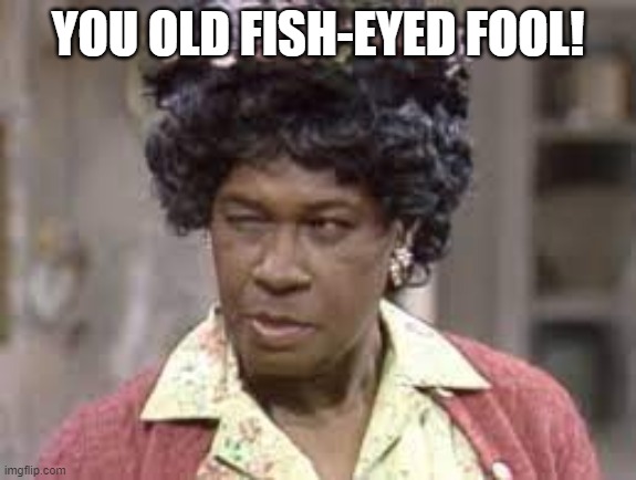 Funnies | YOU OLD FISH-EYED FOOL! | image tagged in fun | made w/ Imgflip meme maker