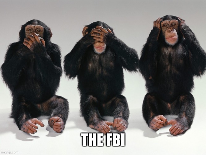 three monkeys | THE FBI | image tagged in three monkeys | made w/ Imgflip meme maker