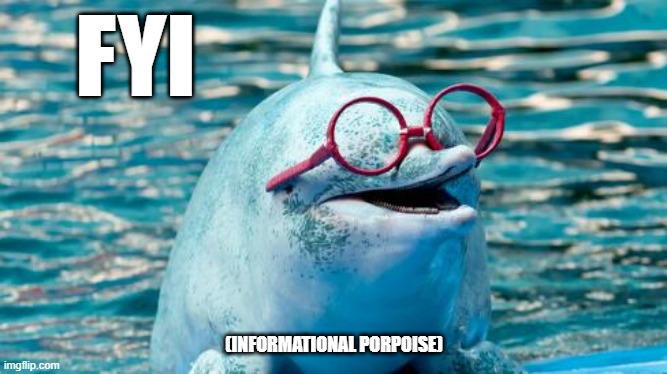 FYI | FYI; (INFORMATIONAL PORPOISE) | image tagged in informational porpoise | made w/ Imgflip meme maker