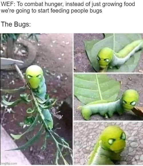 Fight me, NWO | WEF: To combat hunger, instead of just growing food
we're going to start feeding people bugs; The Bugs: | made w/ Imgflip meme maker