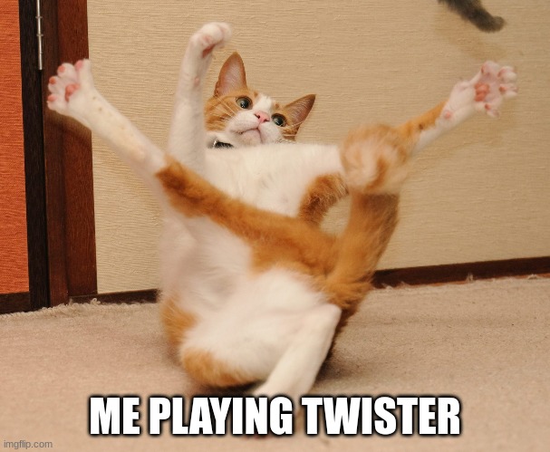 I'm stuck | ME PLAYING TWISTER | image tagged in cats,twister | made w/ Imgflip meme maker