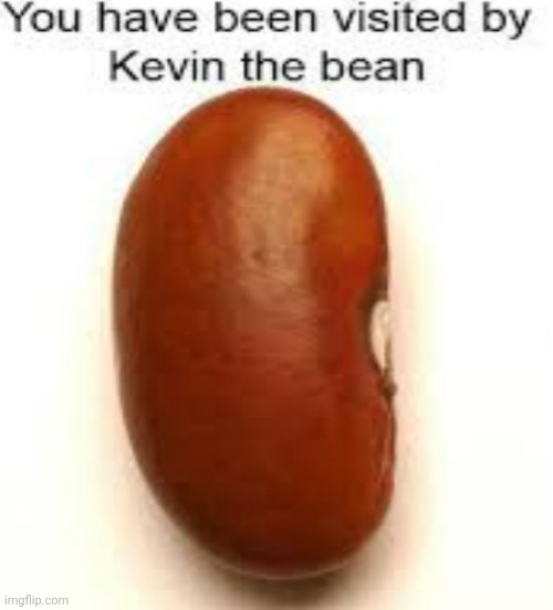 Kevin the bean | image tagged in kevin the bean | made w/ Imgflip meme maker