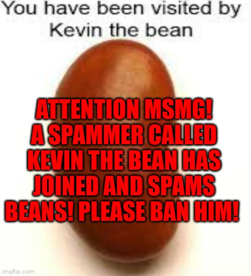 Kevin the bean | ATTENTION MSMG! A SPAMMER CALLED KEVIN THE BEAN HAS JOINED AND SPAMS BEANS! PLEASE BAN HIM! | image tagged in kevin the bean | made w/ Imgflip meme maker