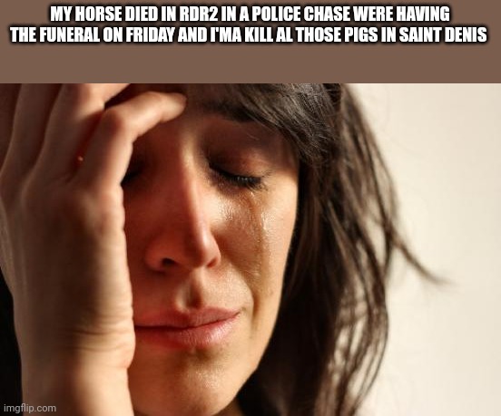 First World Problems | MY HORSE DIED IN RDR2 IN A POLICE CHASE WERE HAVING THE FUNERAL ON FRIDAY AND I'MA KILL AL THOSE PIGS IN SAINT DENIS | image tagged in memes,first world problems | made w/ Imgflip meme maker