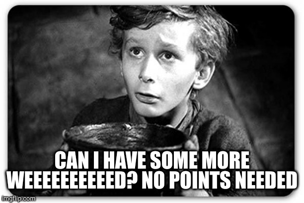 Beggar | CAN I HAVE SOME MORE WEEEEEEEEEED? NO POINTS NEEDED | image tagged in beggar | made w/ Imgflip meme maker