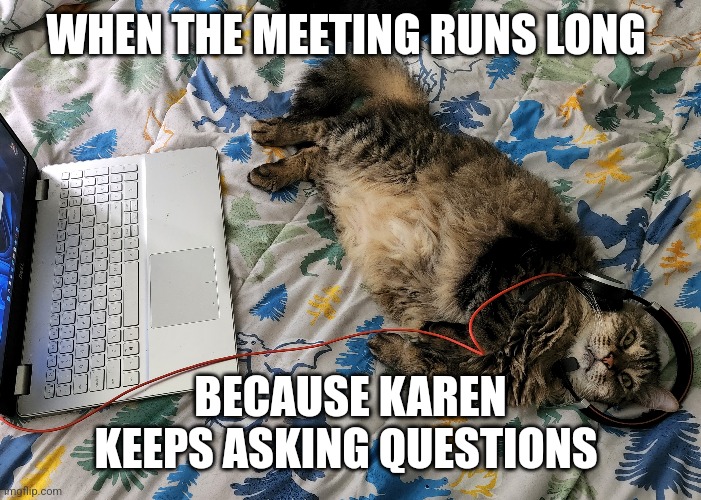 Work meeting cat | WHEN THE MEETING RUNS LONG; BECAUSE KAREN KEEPS ASKING QUESTIONS | image tagged in memes,funny,cats,work from home,meetings,karen | made w/ Imgflip meme maker
