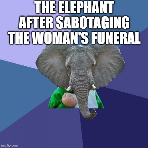 The woman attacked the baby elephant, so the dad killed her not once, but TWICE | THE ELEPHANT AFTER SABOTAGING THE WOMAN'S FUNERAL | image tagged in elephants,vengeance | made w/ Imgflip meme maker
