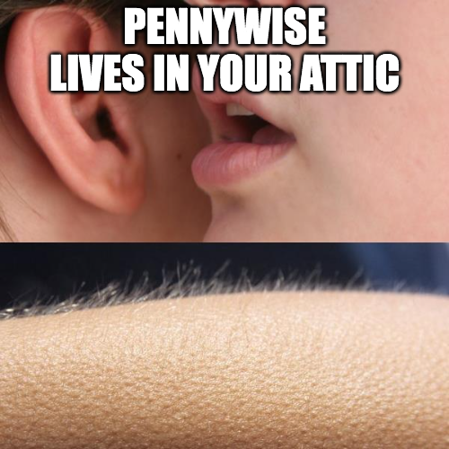 High Quality lives in attic Blank Meme Template
