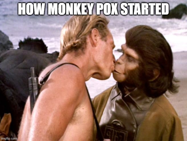 Planet of the apes kiss | HOW MONKEY POX STARTED | image tagged in planet of the apes kiss | made w/ Imgflip meme maker