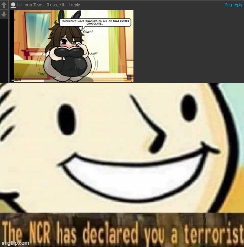 https://imgflip.com/gif/6kj695?nerp=1655926223#com19652378 | image tagged in the ncr has declared you a terrorist | made w/ Imgflip meme maker