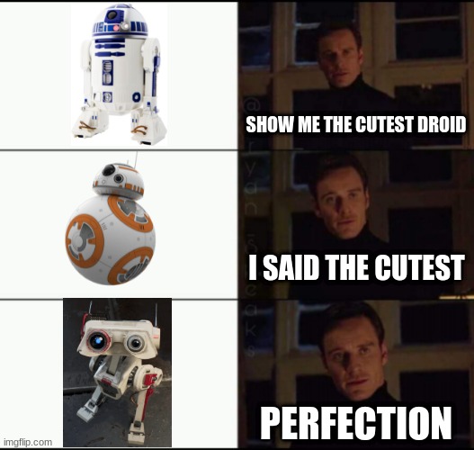 show me the real | SHOW ME THE CUTEST DROID; I SAID THE CUTEST; PERFECTION | image tagged in show me the real | made w/ Imgflip meme maker