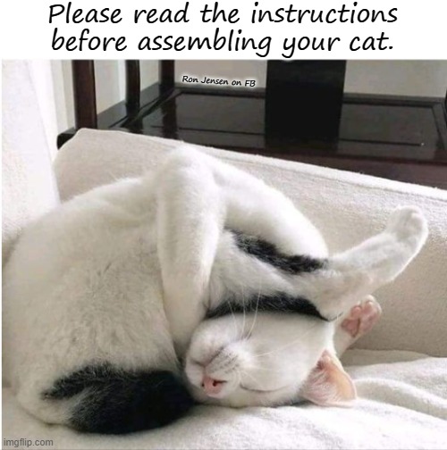 Assembly Required | Please read the instructions before assembling your cat. Ron Jensen on FB | image tagged in cats,cat,cute cat,cat memes,feline | made w/ Imgflip meme maker
