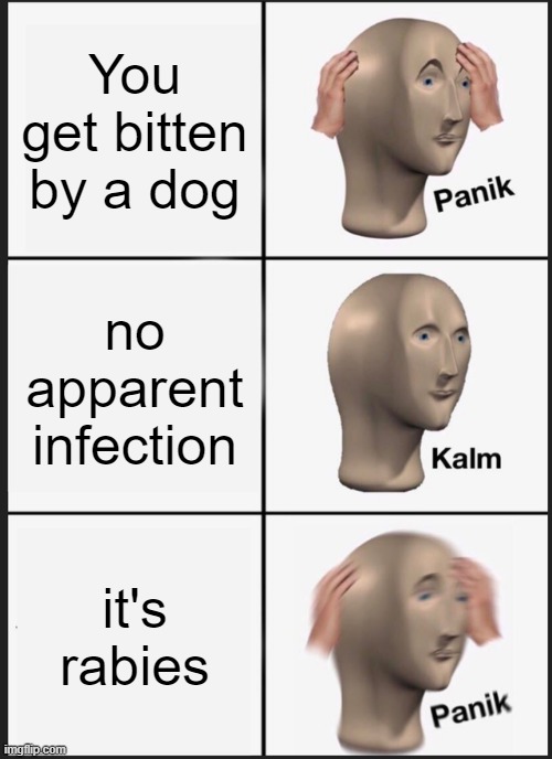 Panik Kalm Panik Meme | You get bitten by a dog; no apparent infection; it's rabies | image tagged in memes,panik kalm panik | made w/ Imgflip meme maker