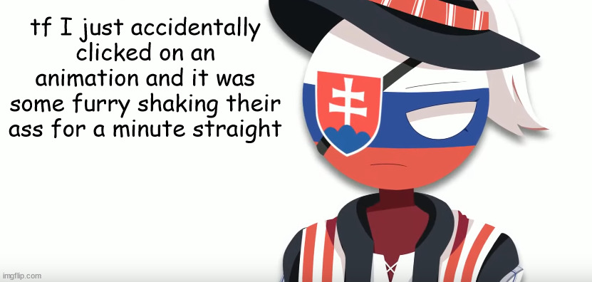 the worst part was that it was actually good art and animation, wasted potential | tf I just accidentally clicked on an animation and it was some furry shaking their ass for a minute straight | image tagged in slovak countryhuman temp mistake | made w/ Imgflip meme maker