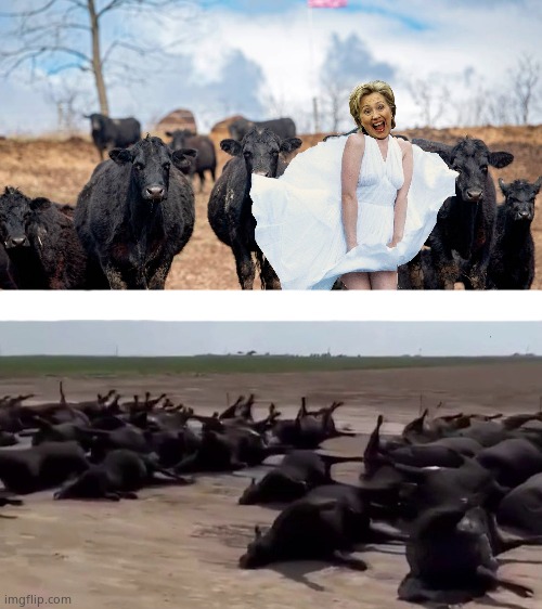 What happened in Kansas | image tagged in memes,hillary clinton,flashing,cows,dead,political meme | made w/ Imgflip meme maker