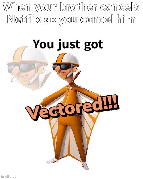 You just got Vectored | When your brother cancels Netflix so you cancel him | image tagged in you just got vectored | made w/ Imgflip meme maker