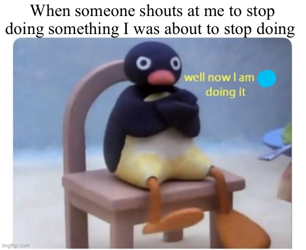 True for others? | When someone shouts at me to stop doing something I was about to stop doing | image tagged in well now i am not doing it,cats,gifs,memes,funny,bruh | made w/ Imgflip meme maker