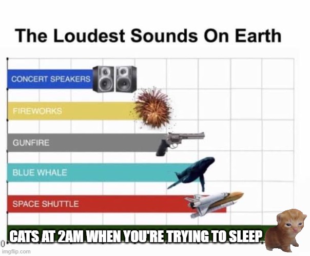 cats | CATS AT 2AM WHEN YOU'RE TRYING TO SLEEP | image tagged in the loudest sounds on earth,cats | made w/ Imgflip meme maker