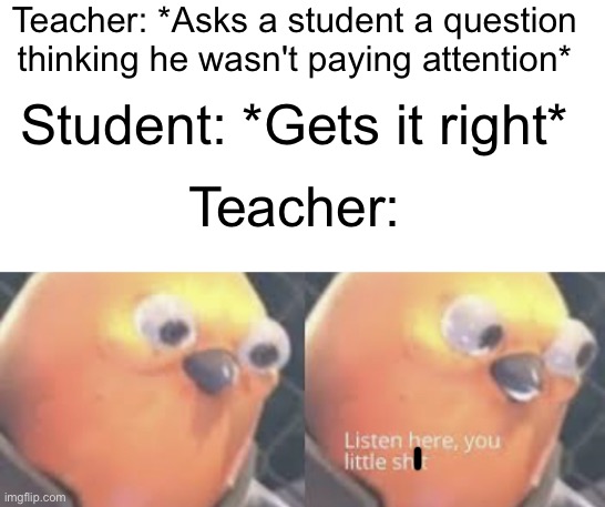  Teacher: *Asks a student a question thinking he wasn't paying attention*; Student: *Gets it right*; Teacher: | image tagged in listen here you little shit bird,funny,memes,school,got eeem,stop reading the tags | made w/ Imgflip meme maker