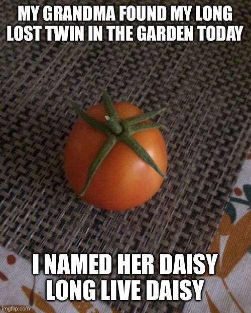 Long live daisy | MY GRANDMA FOUND MY LONG LOST TWIN IN THE GARDEN TODAY; I NAMED HER DAISY
LONG LIVE DAISY | image tagged in long live daisy | made w/ Imgflip meme maker