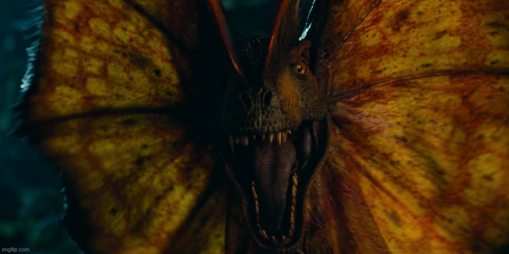 POV: You've been spitted by a dilophosaurus | image tagged in dilophosaurus in jwd | made w/ Imgflip meme maker