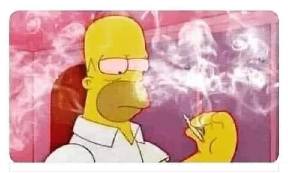 Homer Simpson smoking weed Blank Meme Template