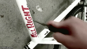image tagged in gifs | made w/ Imgflip video-to-gif maker