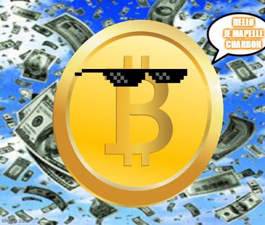 bitcoin riche | HELLO JE MAPELLE CHARBON | image tagged in le bitcoin | made w/ Imgflip meme maker