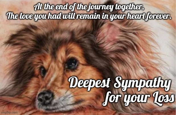 Sympathy on loss of pet | At the end of the journey together,
The love you had will remain in your heart forever. Deepest Sympathy 
for your Loss | image tagged in sheltie,death,sympathy | made w/ Imgflip meme maker