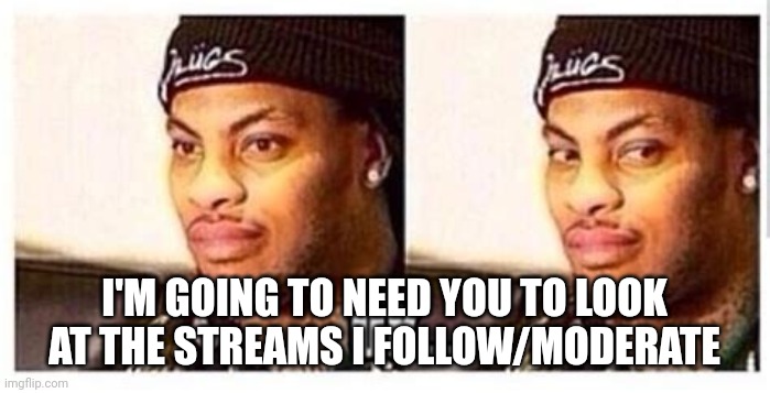 Um..ok | I'M GOING TO NEED YOU TO LOOK AT THE STREAMS I FOLLOW/MODERATE | image tagged in um ok | made w/ Imgflip meme maker