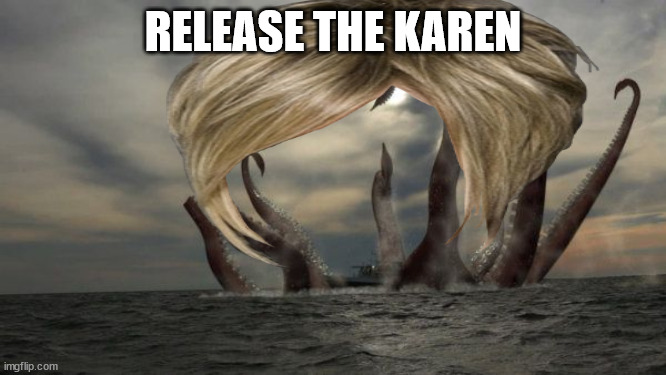 RELEASE THE KAREN | made w/ Imgflip meme maker