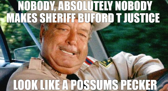 I GOT YOU NOW | NOBODY, ABSOLUTELY NOBODY MAKES SHERIFF BUFORD T JUSTICE; LOOK LIKE A POSSUMS PECKER | image tagged in smokey and the bandit 1 | made w/ Imgflip meme maker