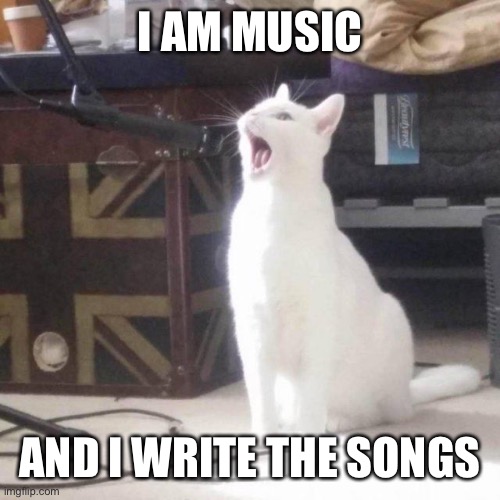 cat singing old song meme｜TikTok Search