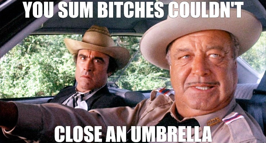 handi cap | YOU SUM BITCHES COULDN'T; CLOSE AN UMBRELLA | image tagged in sheriff buford t justice | made w/ Imgflip meme maker