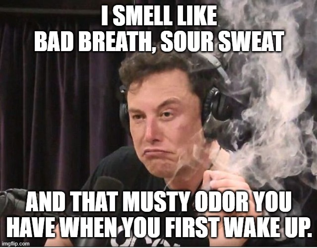 Elon Musk smoking a joint |  I SMELL LIKE BAD BREATH, SOUR SWEAT; AND THAT MUSTY ODOR YOU HAVE WHEN YOU FIRST WAKE UP. | image tagged in elon musk smoking a joint | made w/ Imgflip meme maker