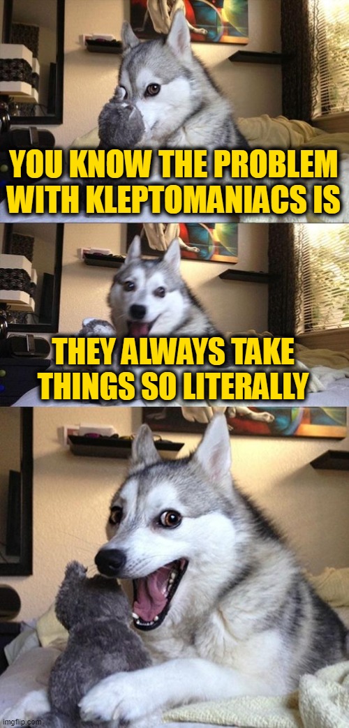 Bad Joke Dog | YOU KNOW THE PROBLEM WITH KLEPTOMANIACS IS; THEY ALWAYS TAKE THINGS SO LITERALLY | image tagged in bad joke dog | made w/ Imgflip meme maker