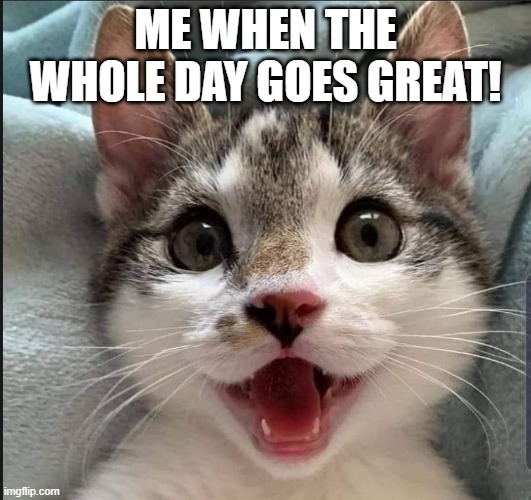 Happy cat | ME WHEN THE WHOLE DAY GOES GREAT! | image tagged in happy cat | made w/ Imgflip meme maker