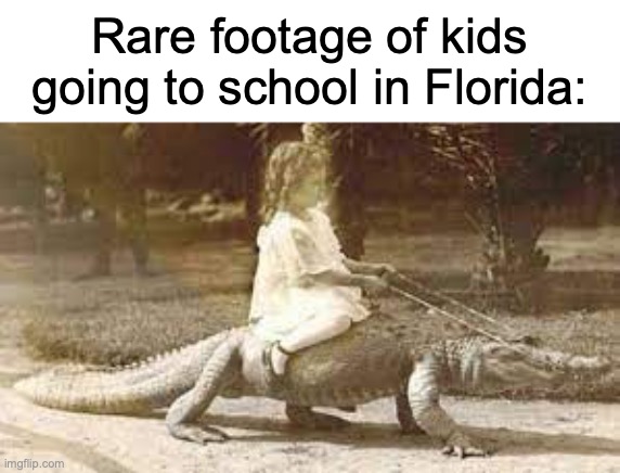 rare footage | Rare footage of kids going to school in Florida: | image tagged in florida | made w/ Imgflip meme maker