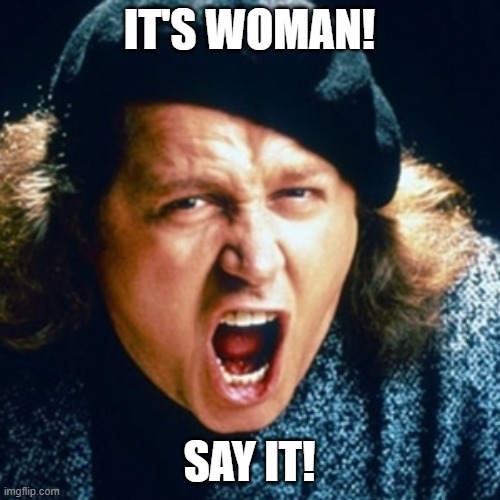 Sam kinison | IT'S WOMAN! SAY IT! | image tagged in sam kinison | made w/ Imgflip meme maker