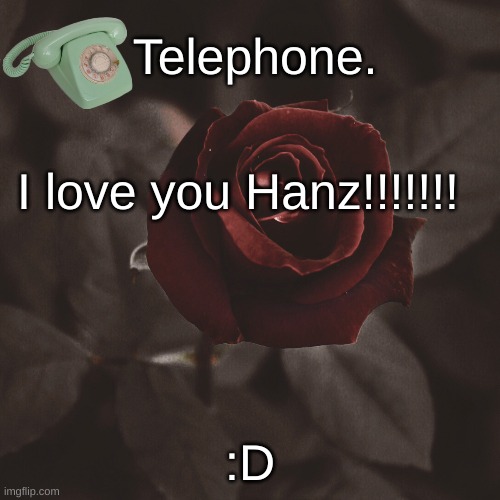 I love you Hanz!!!!!!! :D | image tagged in template | made w/ Imgflip meme maker