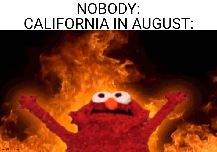 elmo fire | CALIFORNIA IN AUGUST:; NOBODY: | image tagged in elmo fire | made w/ Imgflip meme maker