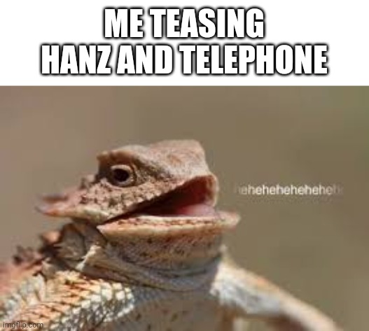 There so cute ;3... AND DAMN 6600 FOLLOWERS WOW, I REMBER IT WAS 1000 | ME TEASING HANZ AND TELEPHONE | image tagged in heheheheh dragon | made w/ Imgflip meme maker
