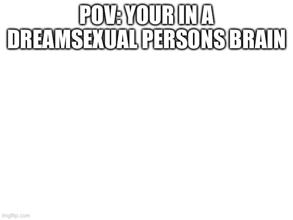 True tho | POV: YOUR IN A DREAMSEXUAL PERSONS BRAIN | image tagged in blank white template | made w/ Imgflip meme maker
