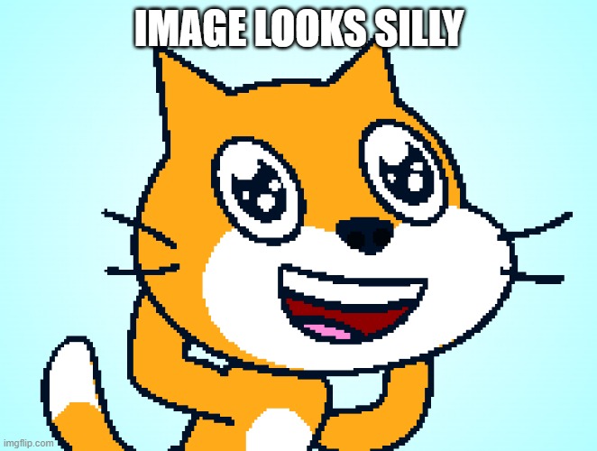 Scratch Cat Silly | IMAGE LOOKS SILLY | image tagged in wow | made w/ Imgflip meme maker