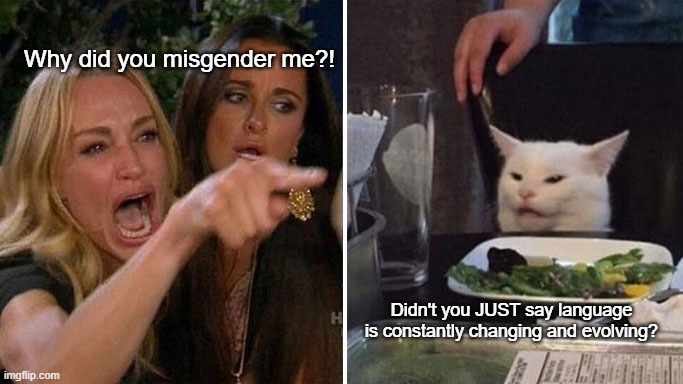 "We had a few laughs, but I'm moving on..." -- the language | Why did you misgender me?! Didn't you JUST say language is constantly changing and evolving? | image tagged in angry lady cat | made w/ Imgflip meme maker