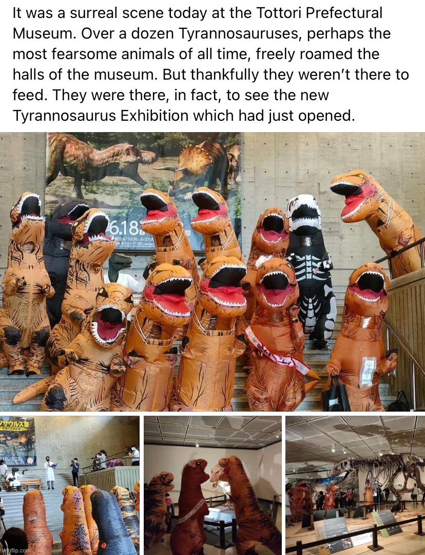 Wow they really got the T-Rexes to come to this, that’s awesome | image tagged in t,r,e,x,t-rex,based | made w/ Imgflip meme maker